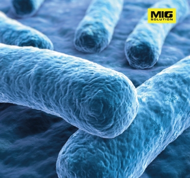 NGUY CƠ NHIỄM VI KHUẨN LEGIONELLA TRONG HỆ THỐNG ỐNG NƯỚC