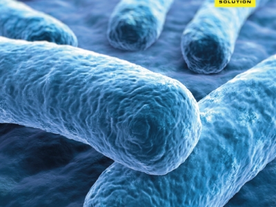 NGUY CƠ NHIỄM VI KHUẨN LEGIONELLA TRONG HỆ THỐNG ỐNG NƯỚC